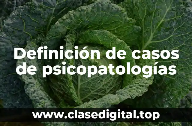 Definición de casos de psicopatologías