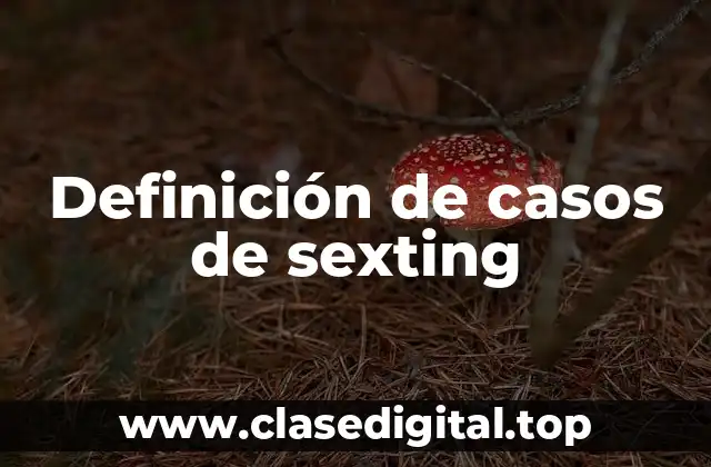 Definición de casos de sexting