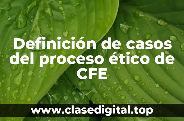 Definición de casos del proceso ético de CFE