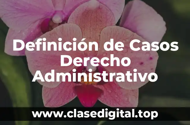 Definición de Casos Derecho Administrativo