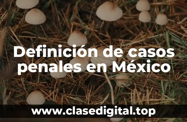 Definición de casos penales en México