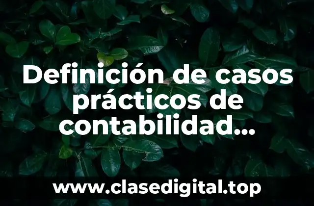 Definición de casos prácticos de contabilidad gubernamental