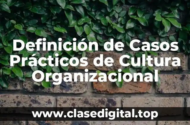 Definición de Casos Prácticos de Cultura Organizacional
