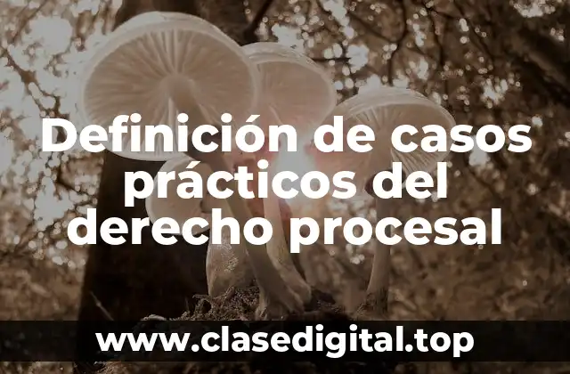 Definición de casos prácticos del derecho procesal