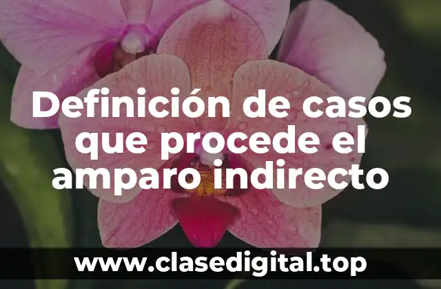 Definición de casos que procede el amparo indirecto
