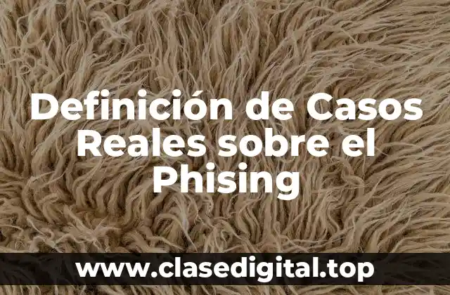 Definición de Casos Reales sobre el Phising