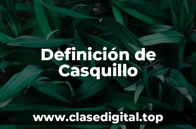 Definición de Casquillo