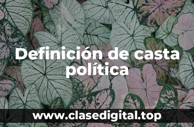 Definición de casta política
