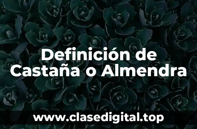 Definición de Castaña o Almendra