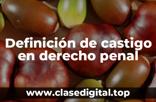 Definición de castigo en derecho penal