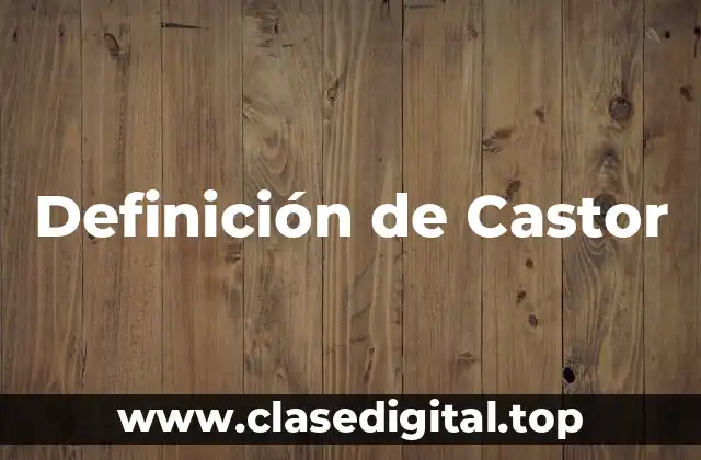 Definición de Castor