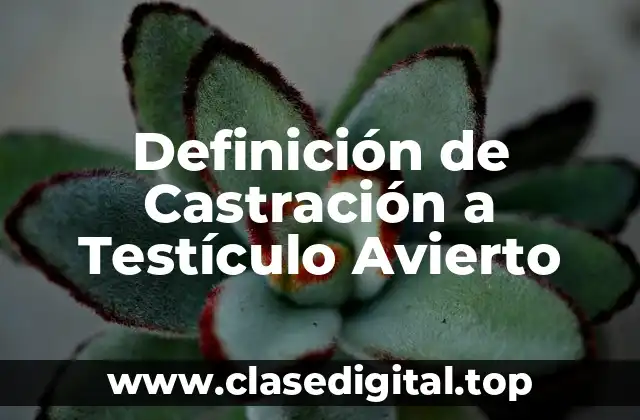 Definición de Castración a Testículo Avierto