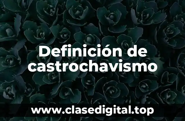 Definición de castrochavismo