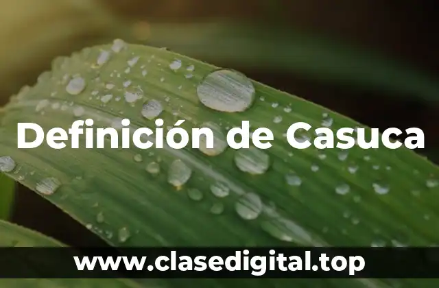 Definición de Casuca