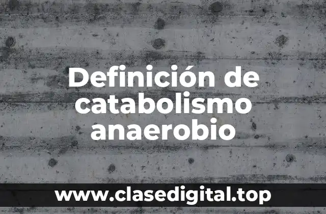Ejemplos de catabolismo anaerobio