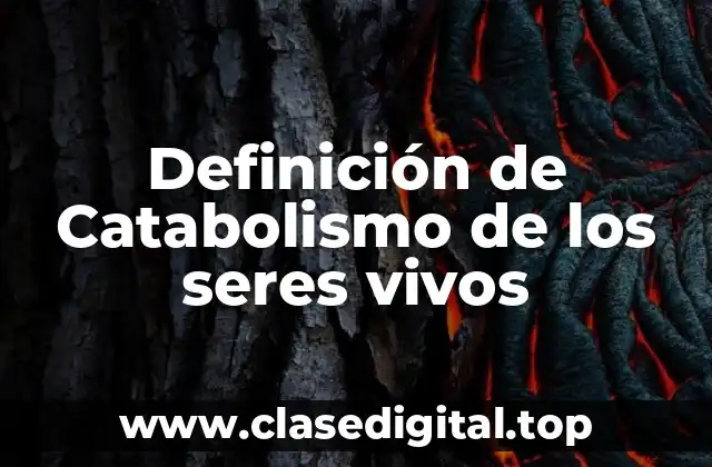 Definición de Catabolismo de los seres vivos