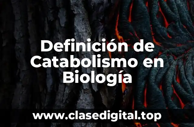 Definición de Catabolismo en Biología