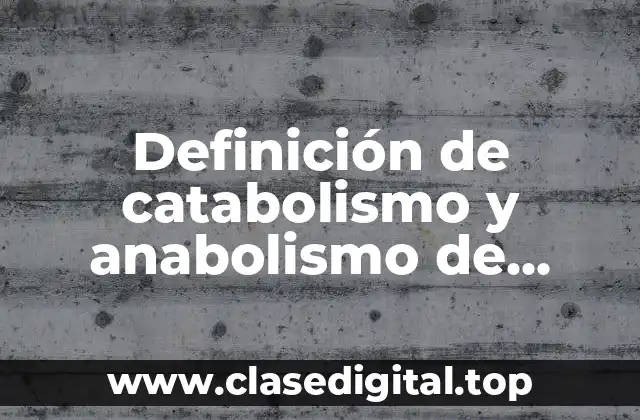 Definición de catabolismo y anabolismo de animales y plantas