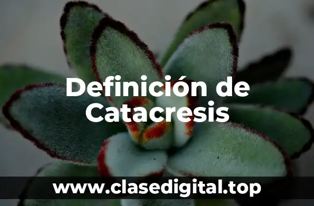 Definición de Catacresis