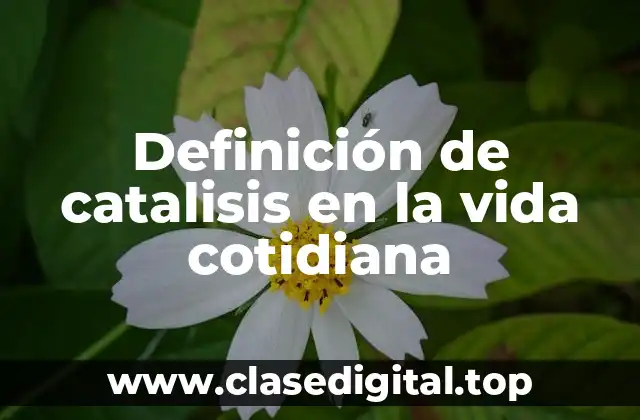 Definición de catalisis en la vida cotidiana