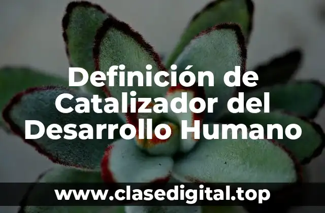 Definición de Catalizador del Desarrollo Humano