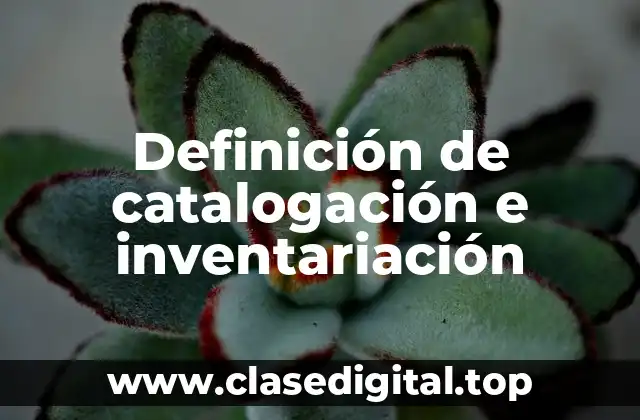 Definición de catalogación e inventariación