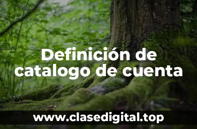 Definición de catalogo de cuenta