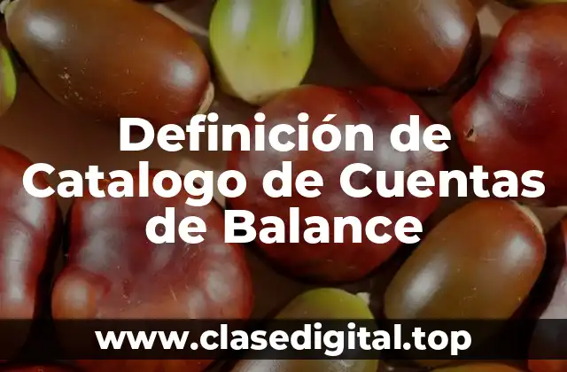 Definición de Catalogo de Cuentas de Balance
