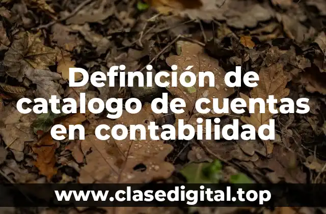 Definición de catalogo de cuentas en contabilidad
