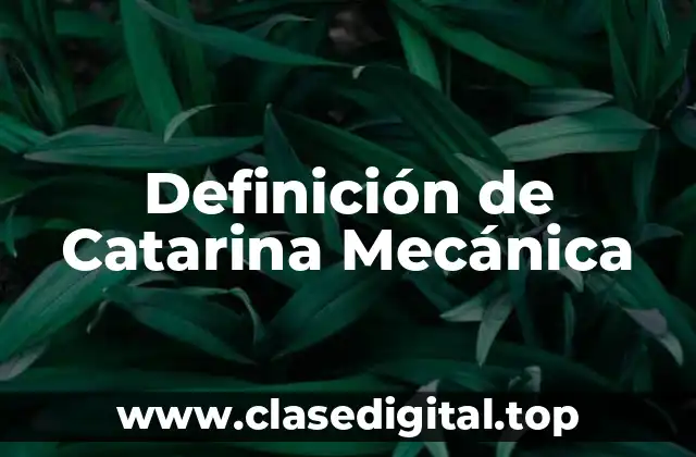 Definición de Catarina Mecánica