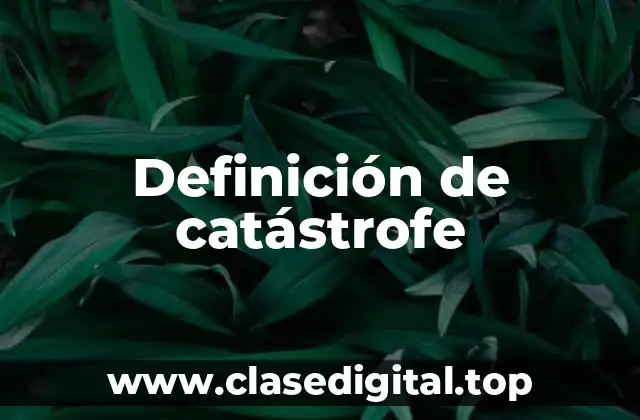Definición de catástrofe