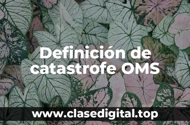 Definición de catastrofe OMS