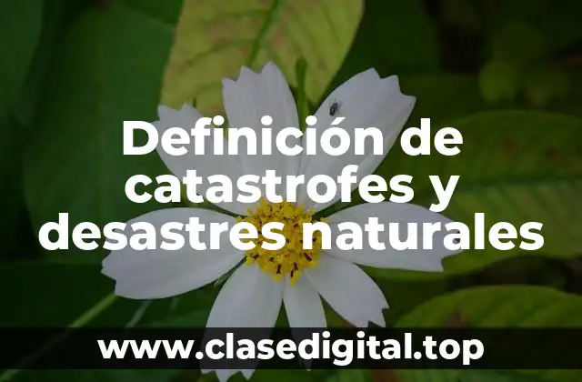 Definición de catastrofes y desastres naturales