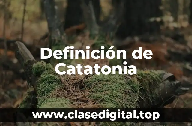 Definición de Catatonia