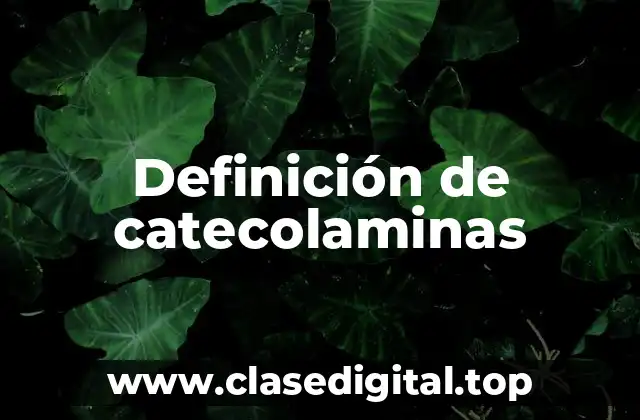Definición de catecolaminas