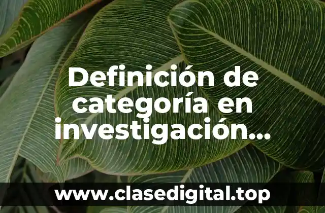 Definición de categoría en investigación cualitativa