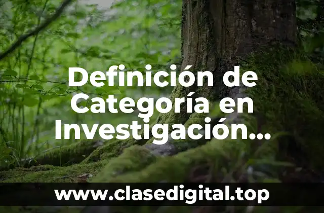 Definición de Categoría en Investigación Cuantitativa