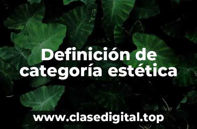 Definición de categoría estética