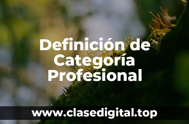 Definición de Categoría Profesional