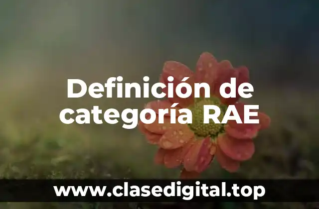 Definición de categoría RAE