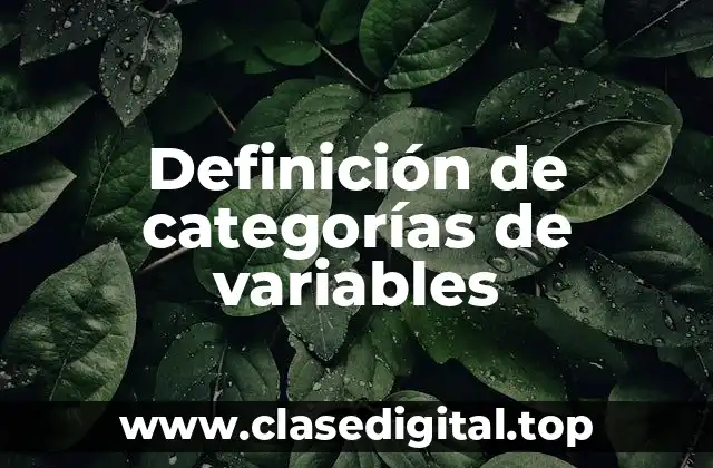 Definición de categorías de variables