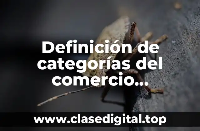 Definición de categorías del comercio electrónico