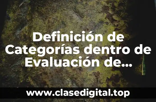 Definición de Categorías dentro de Evaluación de Proyectos