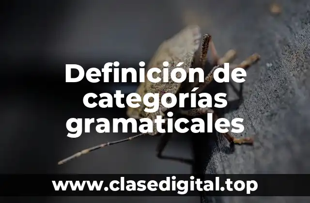 Definición de categorías gramaticales