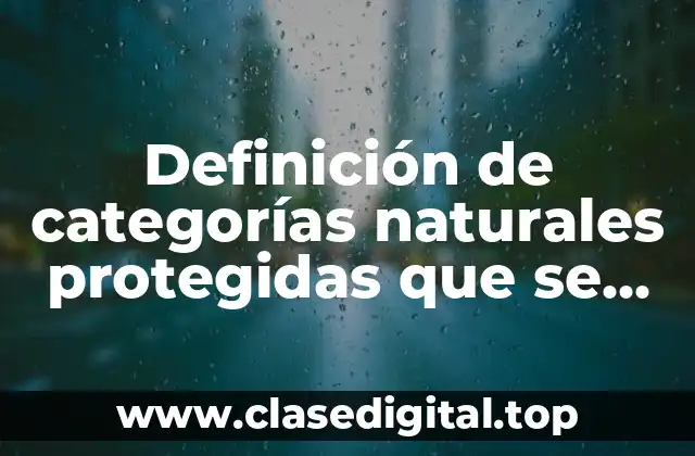 Definición de categorías naturales protegidas que se han establecido
