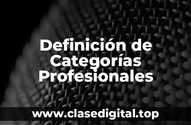 Definición de Categorías Profesionales