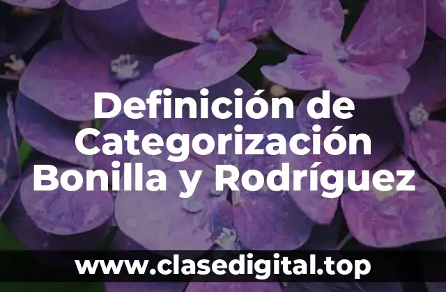 Definición de Categorización Bonilla y Rodríguez