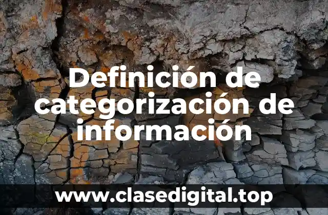 Definición de categorización de información