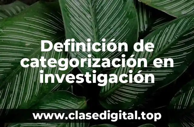 Definición de categorización en investigación