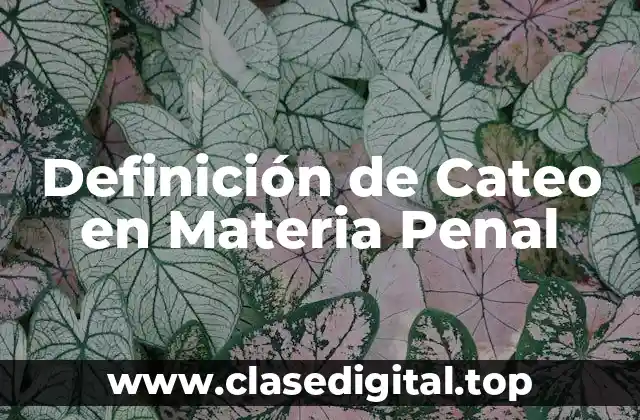 Definición de Cateo en Materia Penal